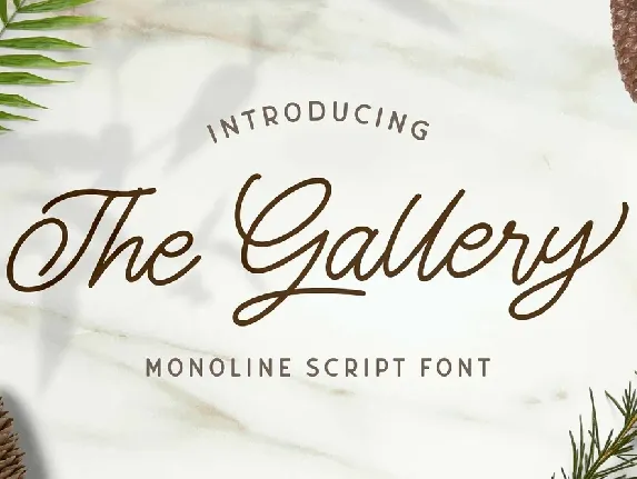 The Gallery Monoline Script font