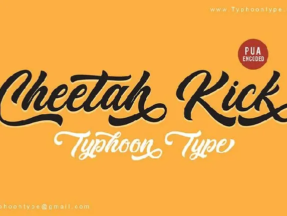 Cheetah Kick font