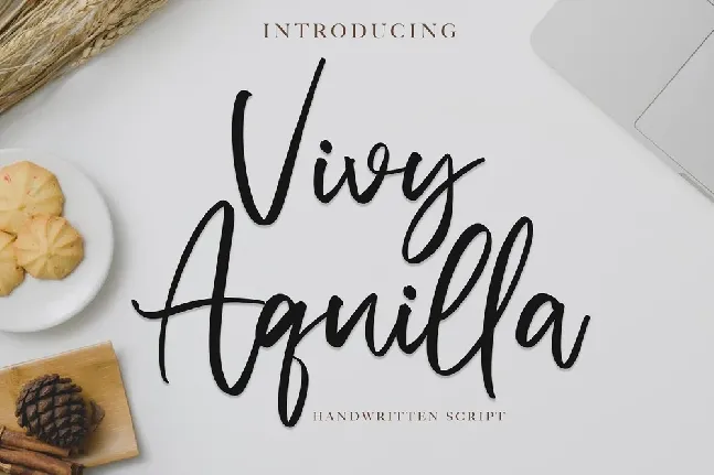 Vivy Aquilla Handwritten font