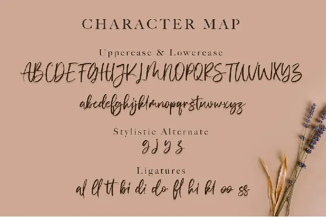 Vivy Aquilla Handwritten font