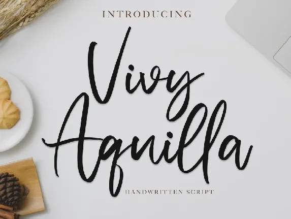 Vivy Aquilla Handwritten font