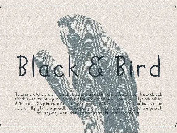 Black Bird DEMO font