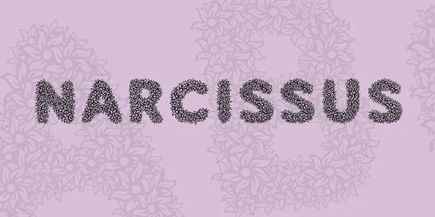 Narcissus font