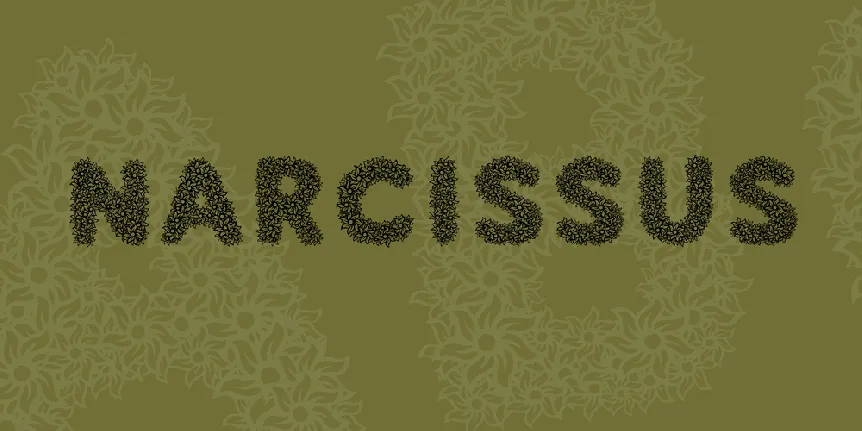 Narcissus font