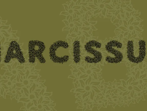 Narcissus font