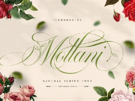 Mollani font