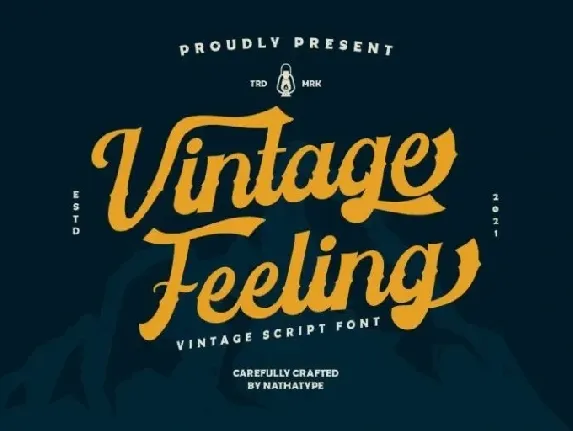 Vintage Feeling font