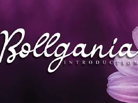 Bollgania Script font