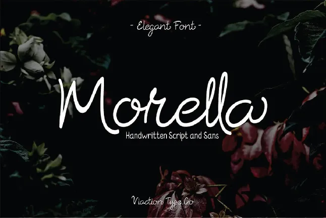 Morella Duo font