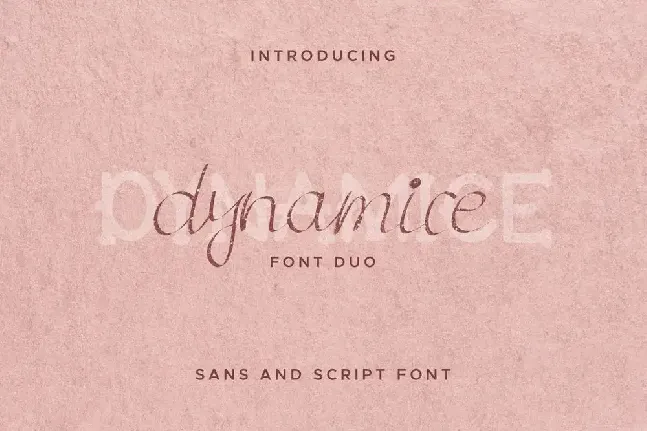 Dynamice Demo font