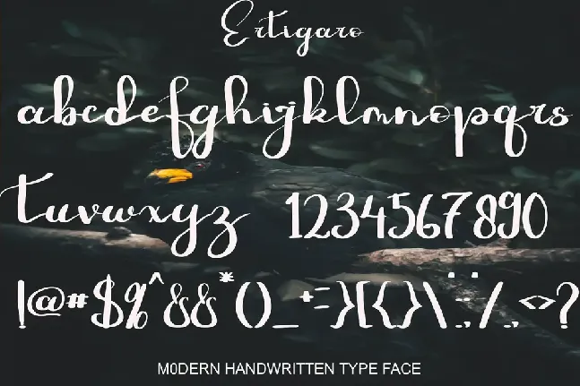 ERTIGARO font