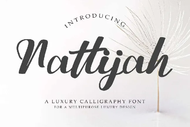 Nattijah font