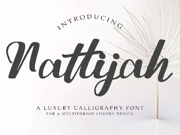 Nattijah font