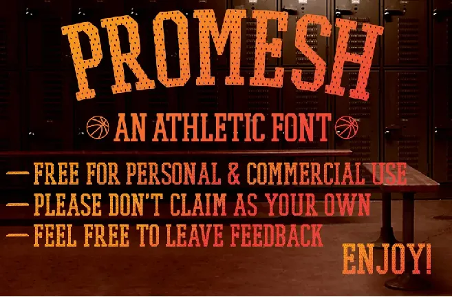 PROMESH font