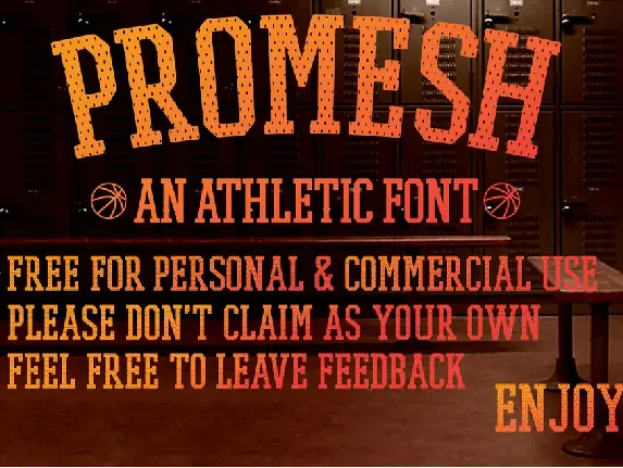 PROMESH font