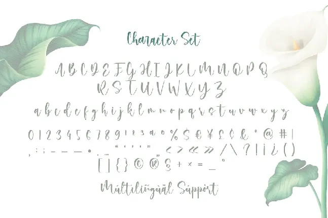 Rossi Mithori Calligraphy Script font