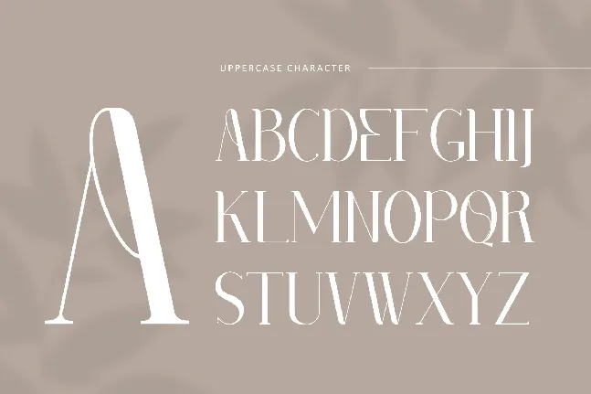 Ameng Demo Font