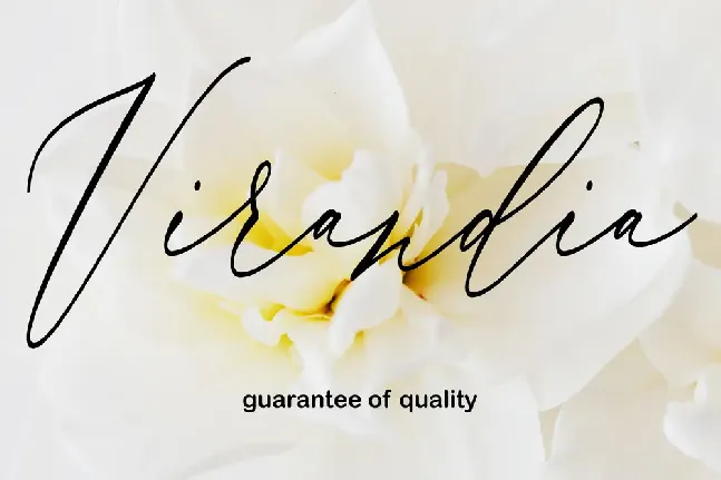 Virandia font