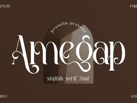 Amegap font