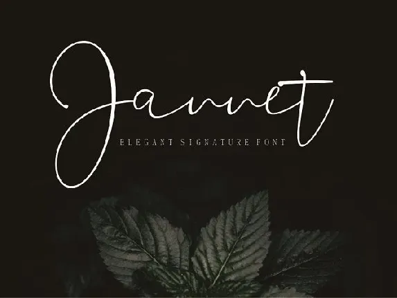 Jannet Signature font