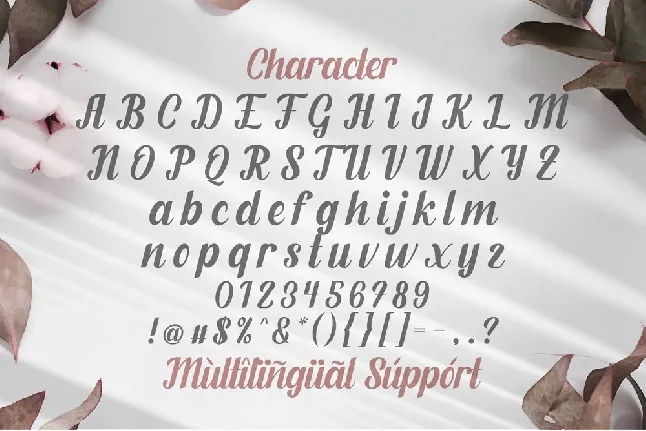 Fendysa Bold Calligraphy font