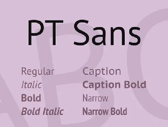 PT Sans Caption Family font