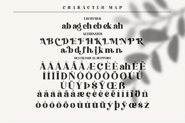 Hochagi font