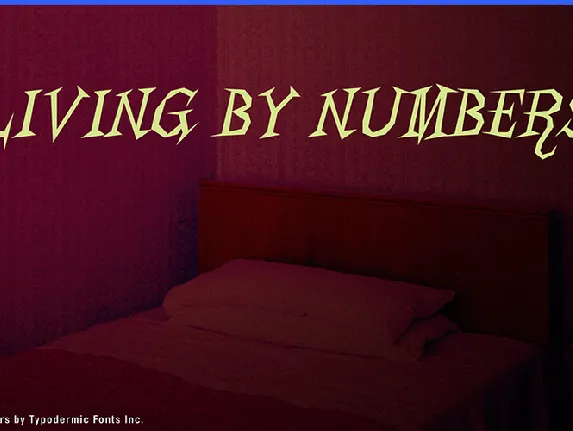 Living by Numbers font