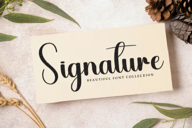 Daylan Script font