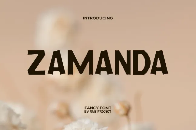 ZamandaDemo font