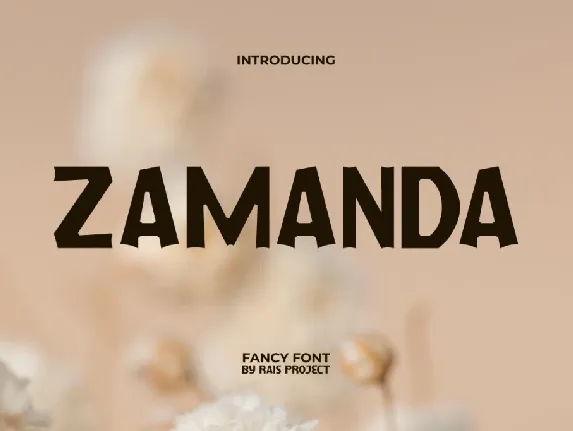 ZamandaDemo font