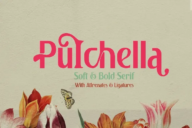 Pulchella Soft & Bold Sans font