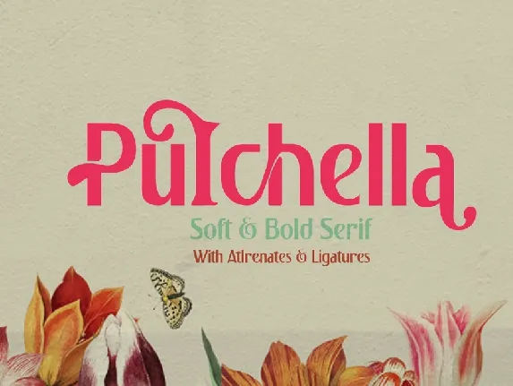 Pulchella Soft & Bold Sans font