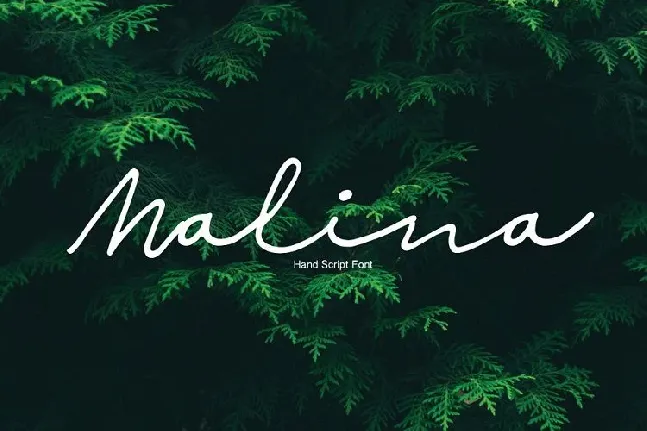 Malina Script font