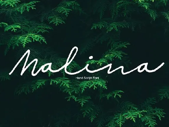 Malina Script font