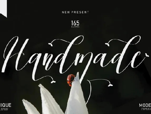 Handmade Script Typeface font