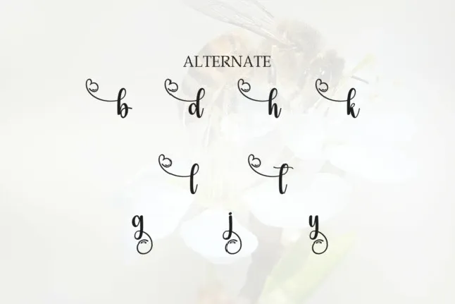 Beautybee Script font