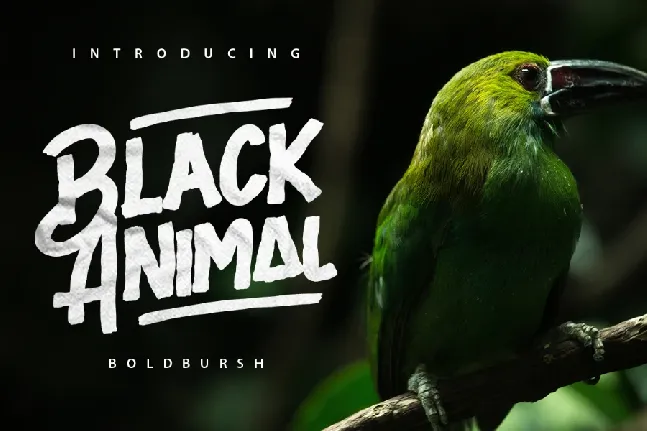 Black Animal Typeface font