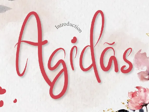 Agidas font