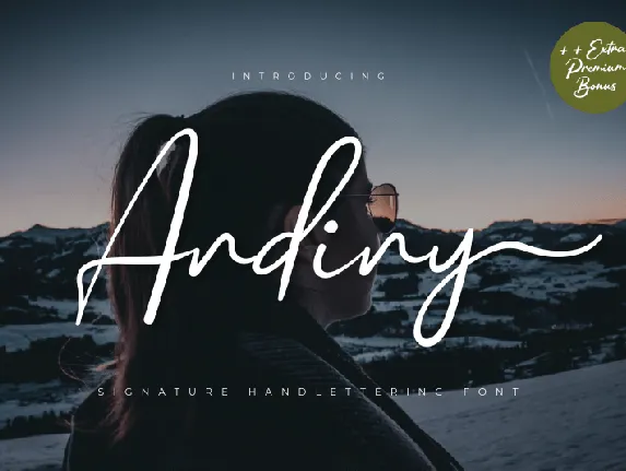 Andiny Script font