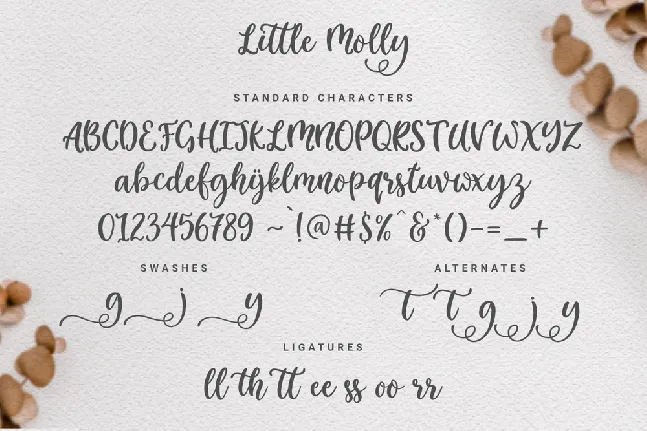 Little_Molly_Personal_Use font