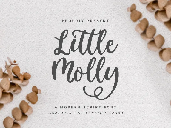 Little_Molly_Personal_Use font