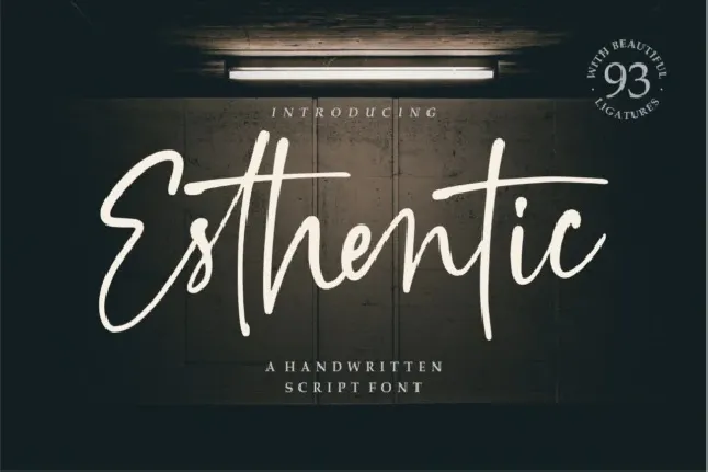 Esthentic Handwritten Script font