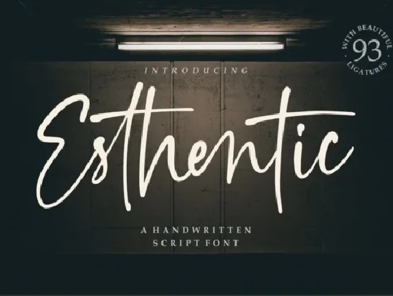 Esthentic Handwritten Script font