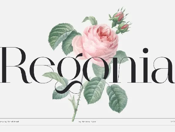 Regonia font