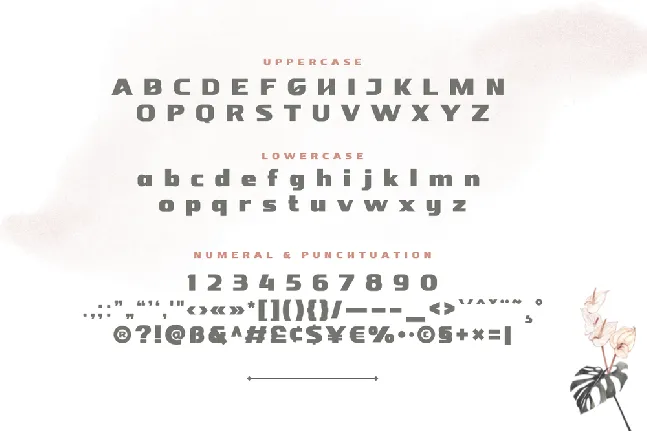 NEBORA font