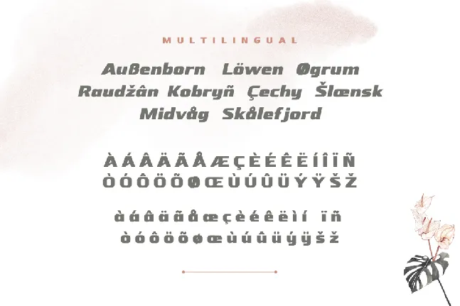 NEBORA font