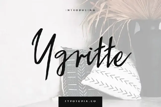 Ygritte Script font