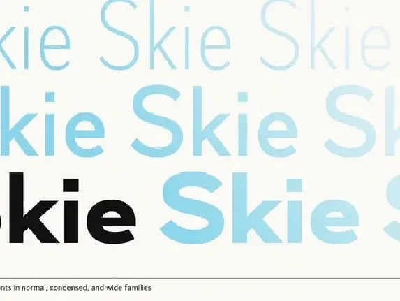 Skie Family font