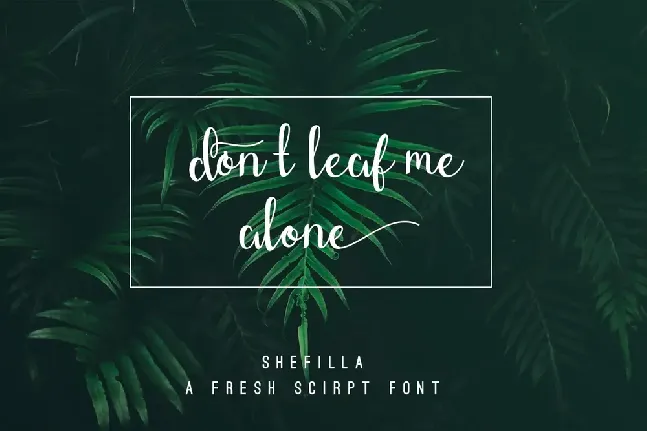 Shefilla font